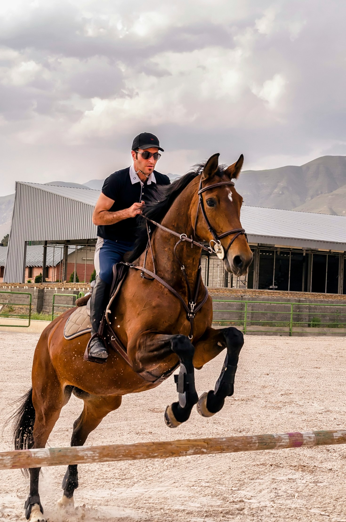 El vínculo especial entre jinete y caballo en la competición
